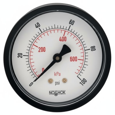 NOSHOK 25-110-100-PSI/KG/CM2-PMC-CC