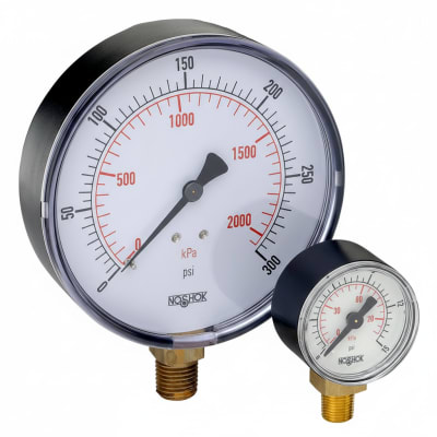 NOSHOK 25-110-100-PSI/KG/CM2-BLFF-CC