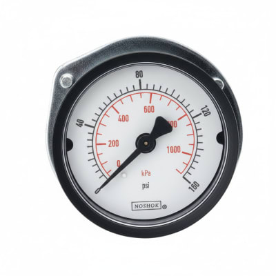 NOSHOK 25-110-100-PSI/KG/CM2-BLFF