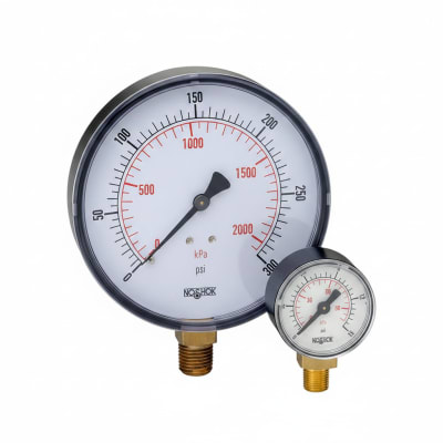NOSHOK 25-110-100-PSI/KG/CM2-CFF-BP3