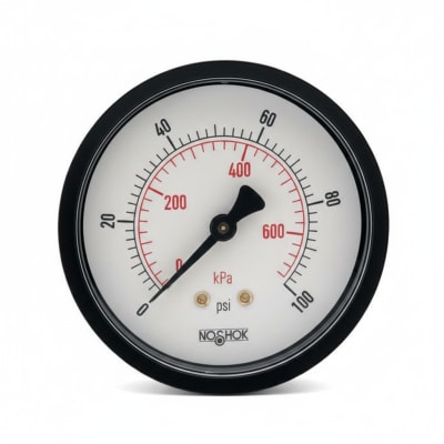 NOSHOK 25-110-100-PSI/KG/CM2-SSB