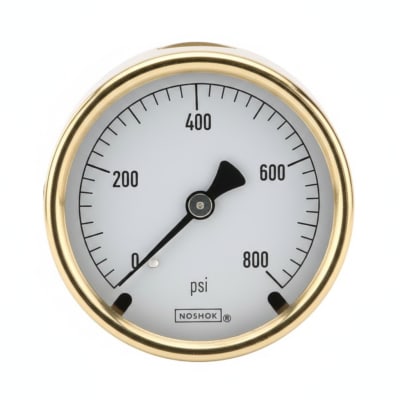 NOSHOK 25-110-160-PSI/KG/CM2-CFF-BP3