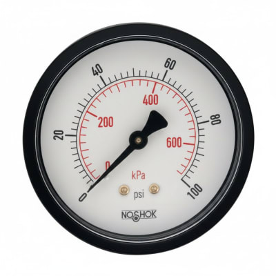 NOSHOK 25-110-600-PSI/KPA-BLFF-BP3