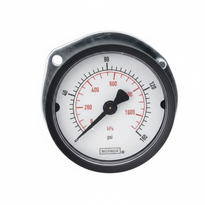 NOSHOK 25-110-600-PSI/KPA-BP3
