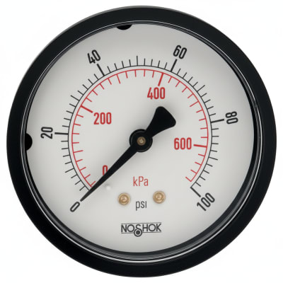 NOSHOK 25-110-600-PSI/KPA-CFF-BP3