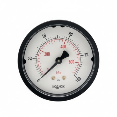 NOSHOK 25-110-600-PSI/KPA-BLFF
