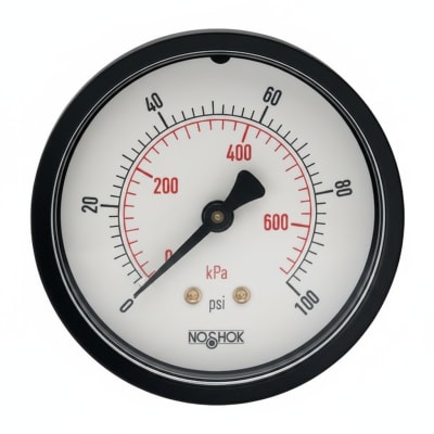 NOSHOK 25-901-3000-PSI/BAR-SG