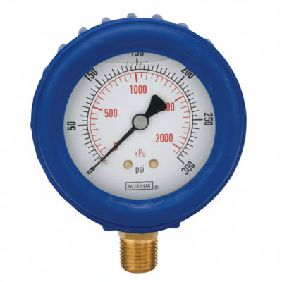 NOSHOK 25-100-100-PSI/KPA-RCP