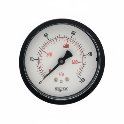 NOSHOK 25-110-300-PSI/KPA-BP3