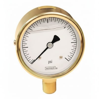 NOSHOK 25-911-160-PSI/BAR-SSFF-BP3
