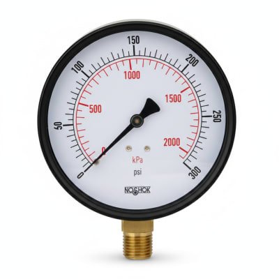NOSHOK 20-110-100-PSI/KPA-SSB-BP3-CC