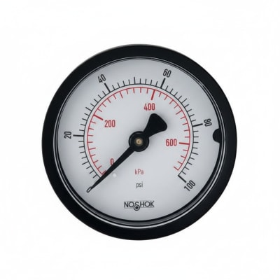 NOSHOK 20-100-60-PSI/KPA-1/8-BP3