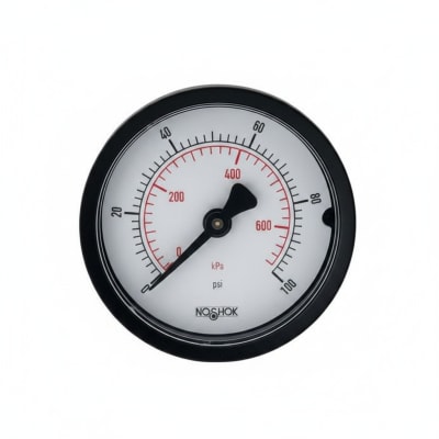 NOSHOK 20-110-30-PSI/KPA-1/8-SSB-CC