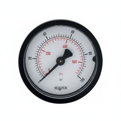 NOSHOK 20-110-30-PSI/KPA-1/8-SSB-BP3