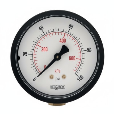NOSHOK 25-110-1500-PSI/KPA-PMC-CC