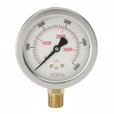 NOSHOK 25-110-1500-PSI/KPA-BLFF-BP3