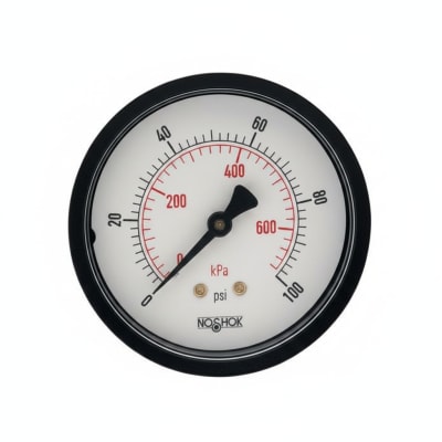 NOSHOK 25-110-1500-PSI/KPA-SSB-PMC-BP3