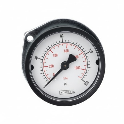NOSHOK 20-110-160-PSI/KPA-1/8-BP3