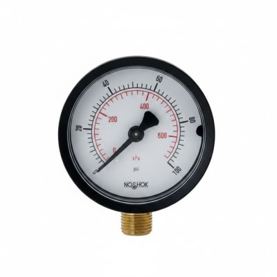 NOSHOK 20-110-160-PSI/KPA-1/8-SSB-CC