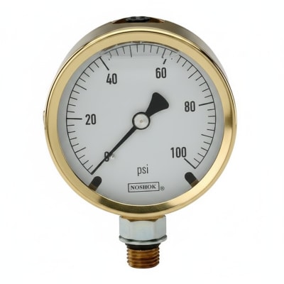 NOSHOK 25-901-300-PSI/KPA-SG-BP3