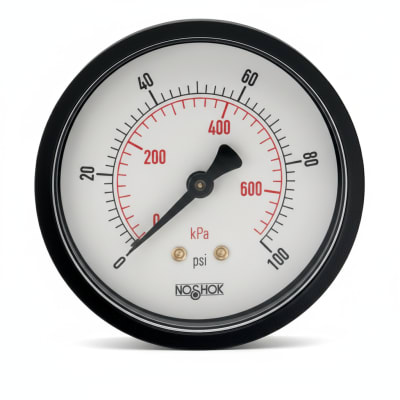NOSHOK 25-110-3000-PSI/KPA-BP3