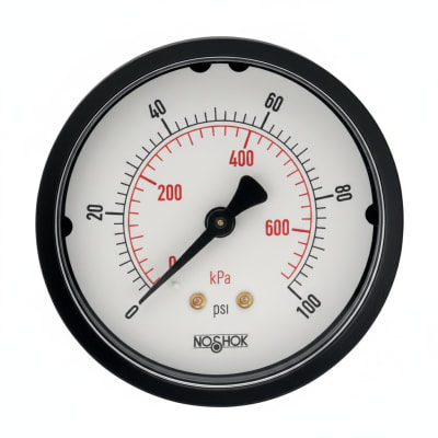 NOSHOK 25-110-3000-PSI/KPA-CFF-CC