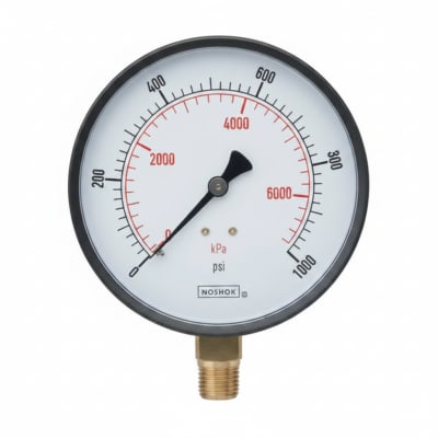NOSHOK 25-110-3000-PSI/KPA-CC