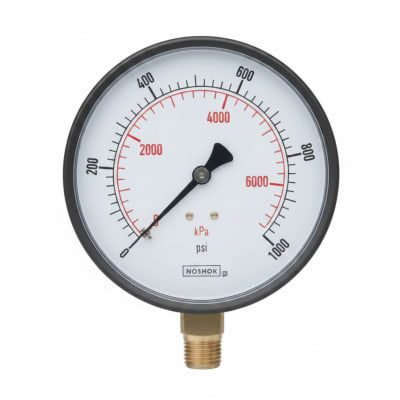 NOSHOK 25-110-3000-PSI/KPA-SSB-CC