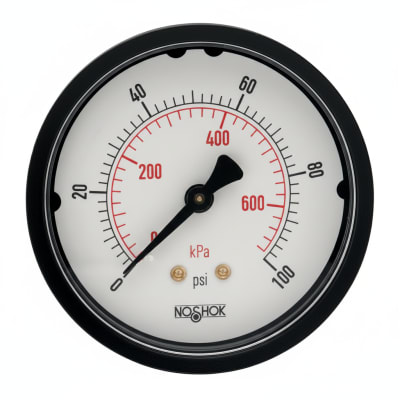 NOSHOK 25-110-3000-PSI/KPA-O2