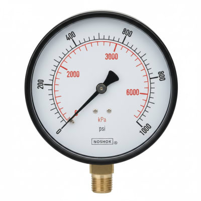 NOSHOK 25-110-3000-PSI/KPA-SSB-PMC-CC