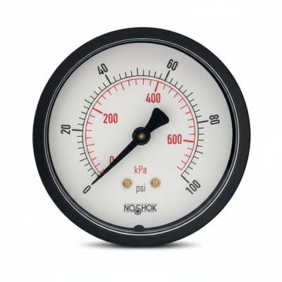 NOSHOK 25-100-5000-PSI/KPA-BP3