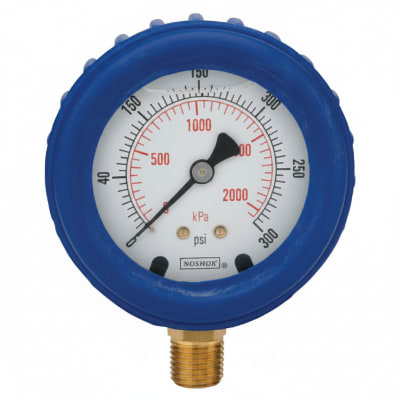 NOSHOK 25-100-160-PSI/KPA-RCP