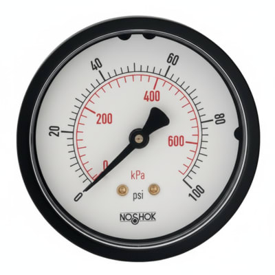 NOSHOK 25-100-5000-PSI/KPA-O2