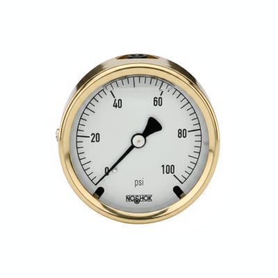NOSHOK 25-310-160-PSI-MIP-BT8