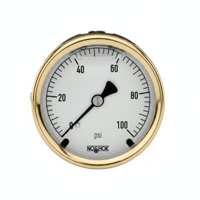 NOSHOK 25-310-160-PSI-DRY
