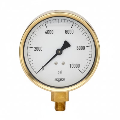 NOSHOK 25-310-160-PSI/BAR-MIP-CFF-CC