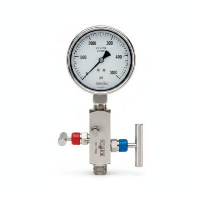 NOSHOK 25-310-160-PSI/KG/CM2-GY40-BT8