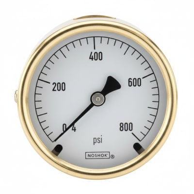 NOSHOK 25-310-160-PSI/KG/CM2-DRY