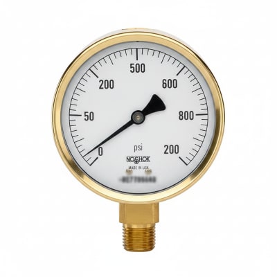 NOSHOK 25-310-160-PSI/KPA-MIP-CFF