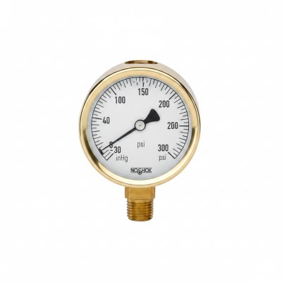 NOSHOK 25-310-160-PSI/KPA-CBU-GY40-BT8
