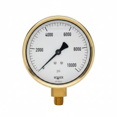 NOSHOK 25-310-160-PSI/KPA-SL