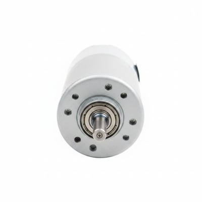 JOHNSON ELECTRIC 590000