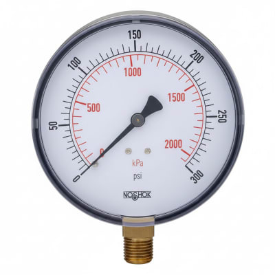 NOSHOK 25-110-400-PSI/KPA-BLFF