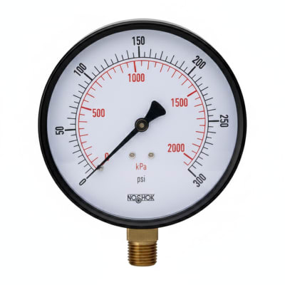 NOSHOK 25-110-400-PSI/KPA-SSB-PMC-BP3