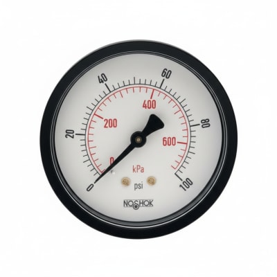 NOSHOK 25-110-400-PSI/KPA-PMC-CC