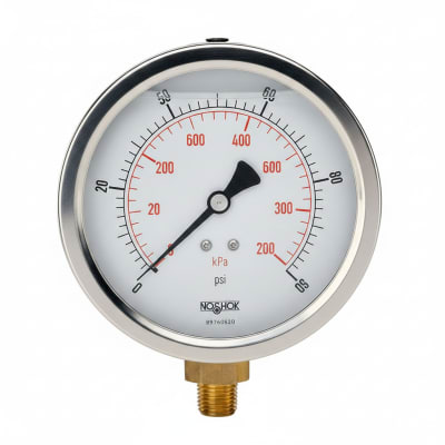 NOSHOK 25-911-6000-PSI/KPA-SSFF-BP3-CC