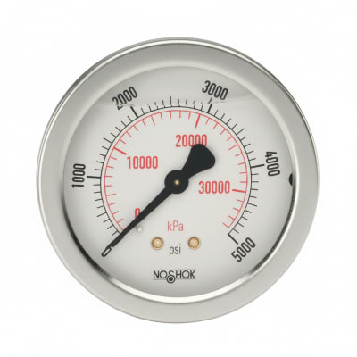 NOSHOK 25-911-6000-PSI/KPA-SG