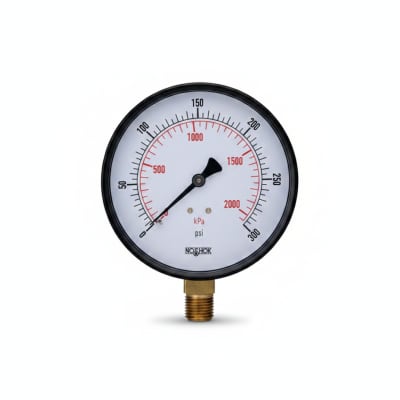 NOSHOK 20-100-30-PSI/KG/CM2-BP3