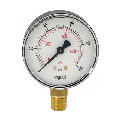 NOSHOK 25-100-30-PSI/BAR-BCR