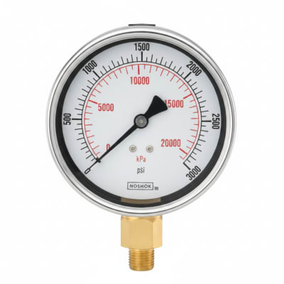 NOSHOK 25-100-300-PSI/KG/CM2-BCR